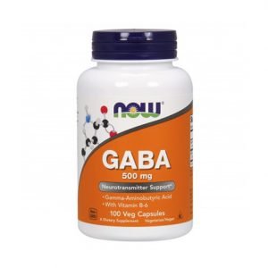 NOW GABA 500mg