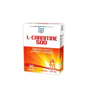 L-Carnitine 500