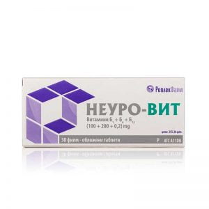 neuro-vit