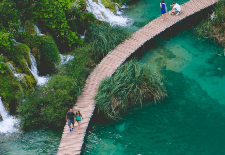 A Vacation in The Mysterious Forests of the World