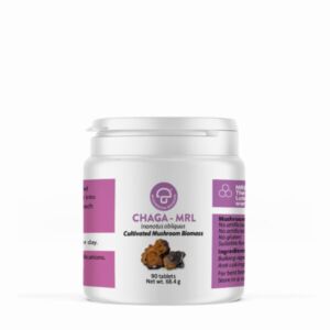 chaga
