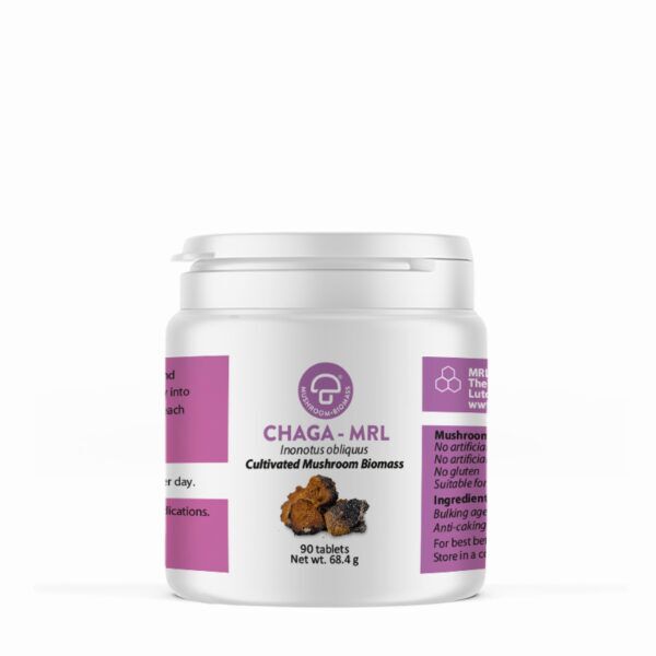 chaga