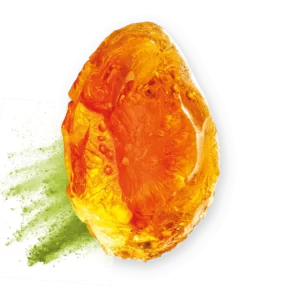 FIBREGUM