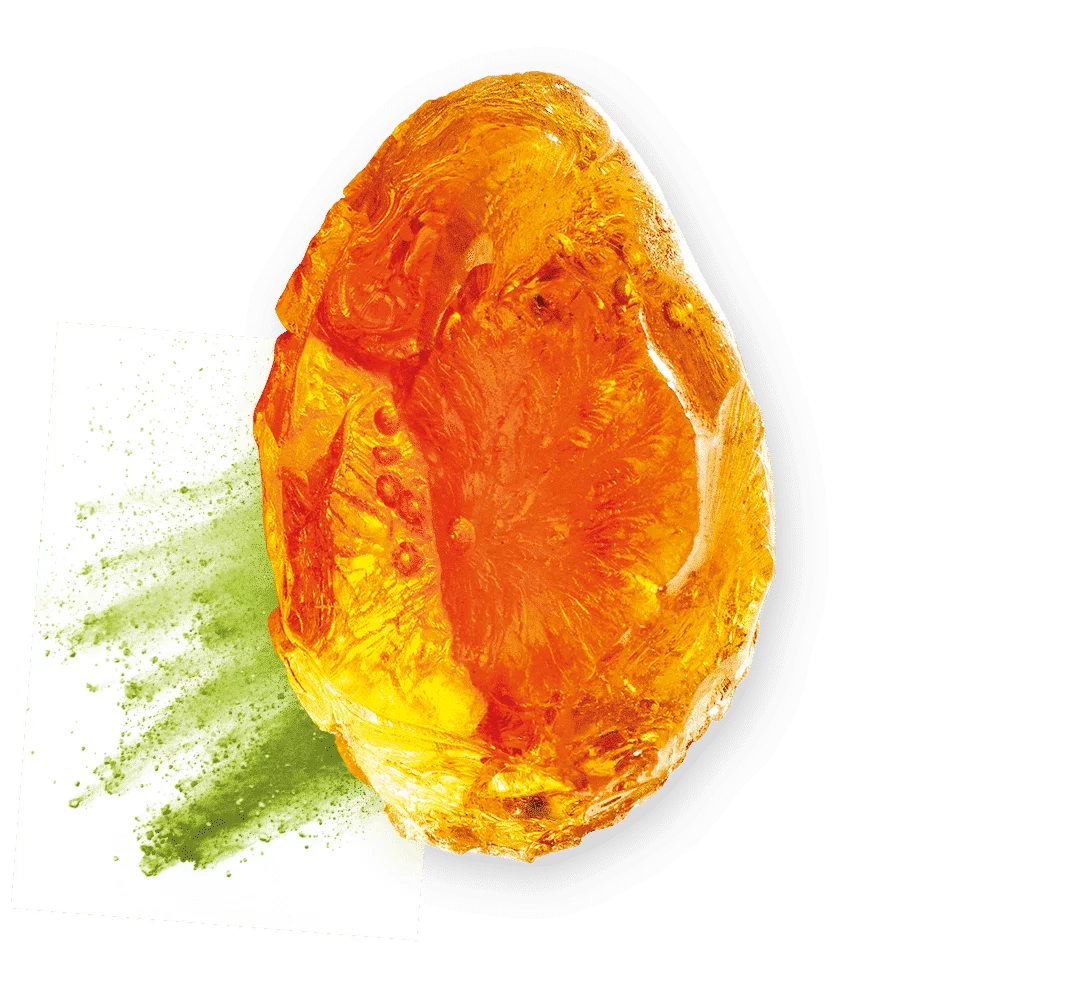 FIBREGUM